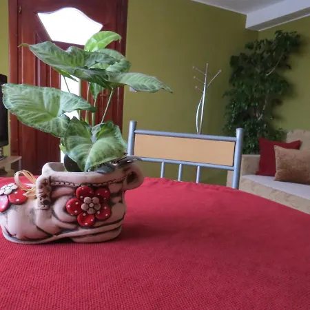 Bilja Apartment Vrnjačka Banja